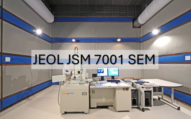Sem